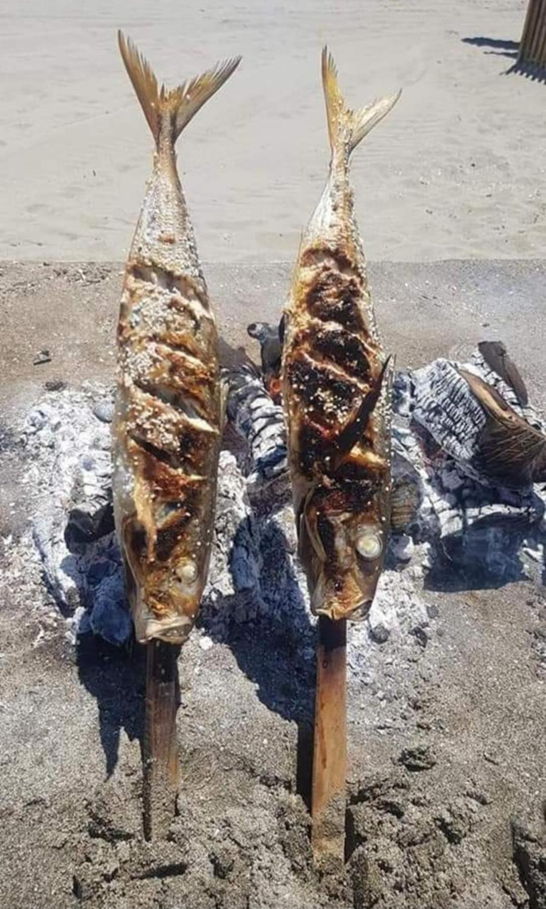 Сasa de vacaciones En Poniente